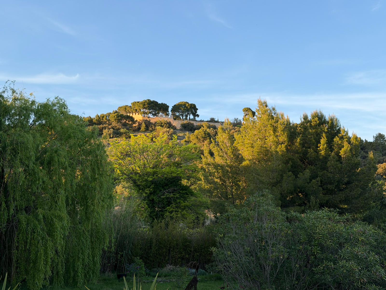 Vue paysagère du Castellas