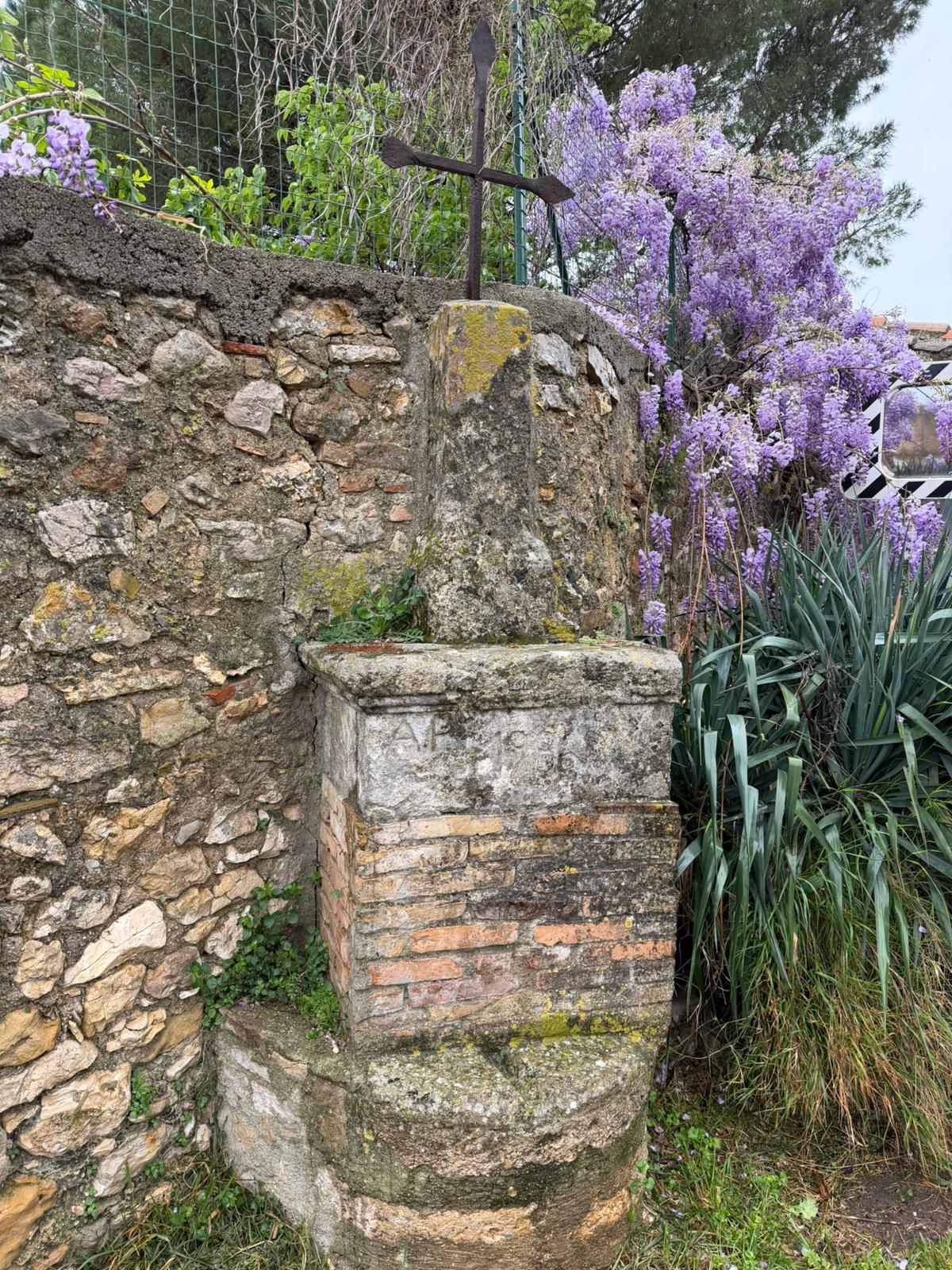 Puits ancien envahi par la glycine